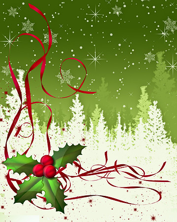 Holly Snow Scene_