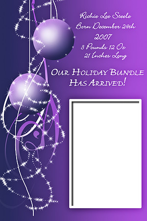 Holiday Bundlepurple