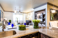 Roudabush-2015-11-18-Portico Kirby-121