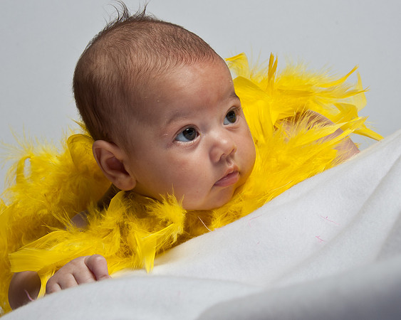 01231-A0-Babies-20