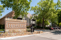 Stone Chase-2