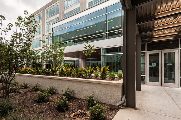 Vista Corporate-3-2