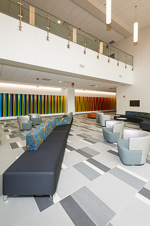 UT Health Science Center-ALTL-13