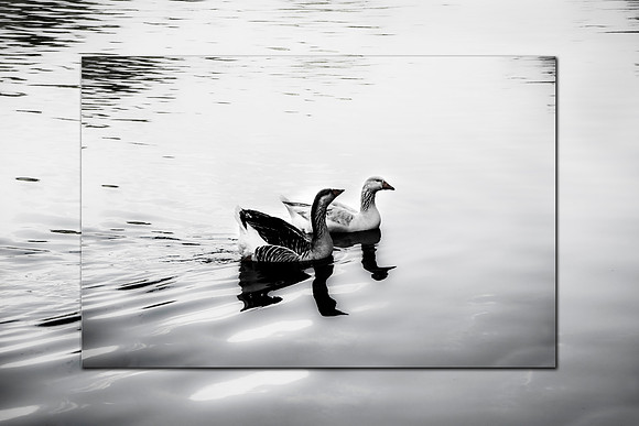 _RBR6551-1