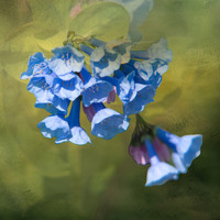 RBR_0752-20260331-2