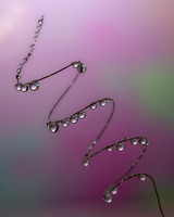 2026.06.12-9-Edit