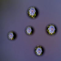 2026.06.20-13-2