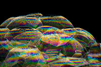 2026.07.23-90