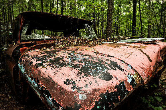 Old Car City-6