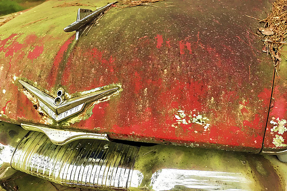 Old Car City-17